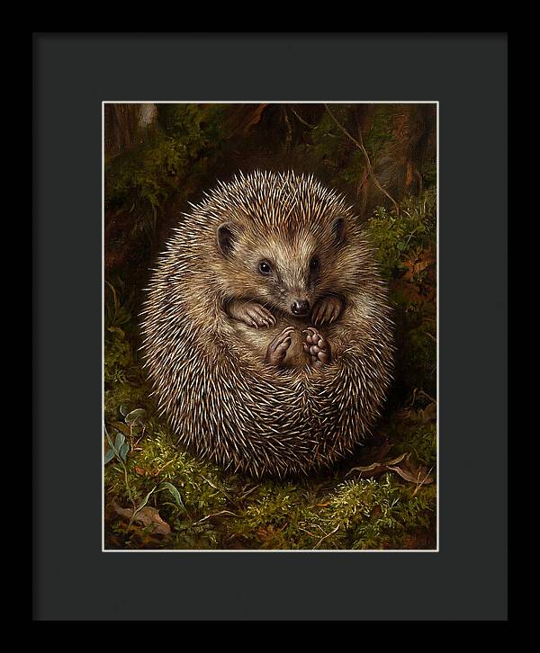 Tenrec In Natural Habitat