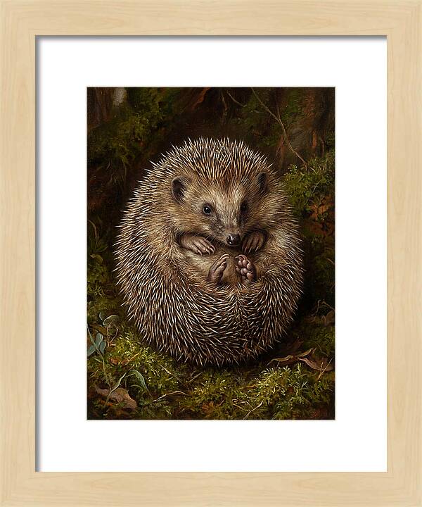 Tenrec In Natural Habitat