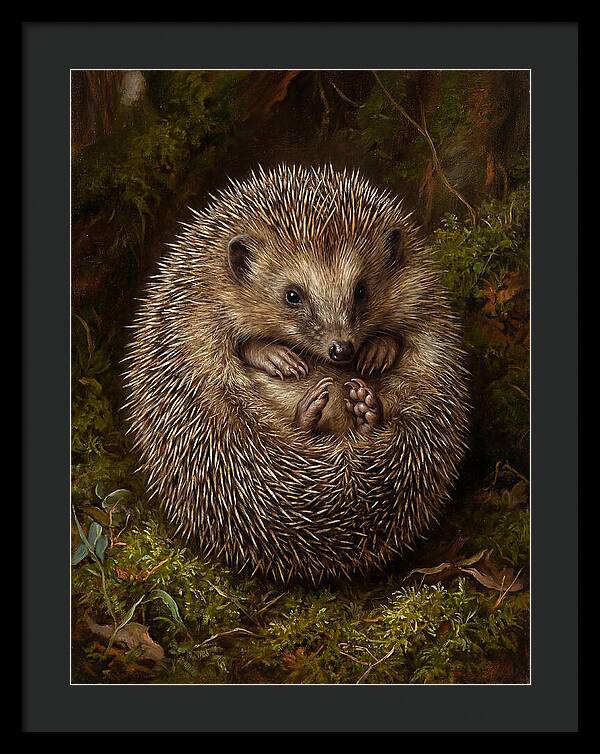 Tenrec In Natural Habitat