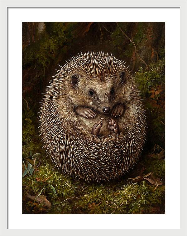 Tenrec In Natural Habitat