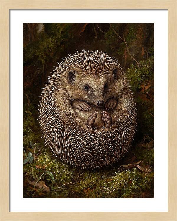 Tenrec In Natural Habitat