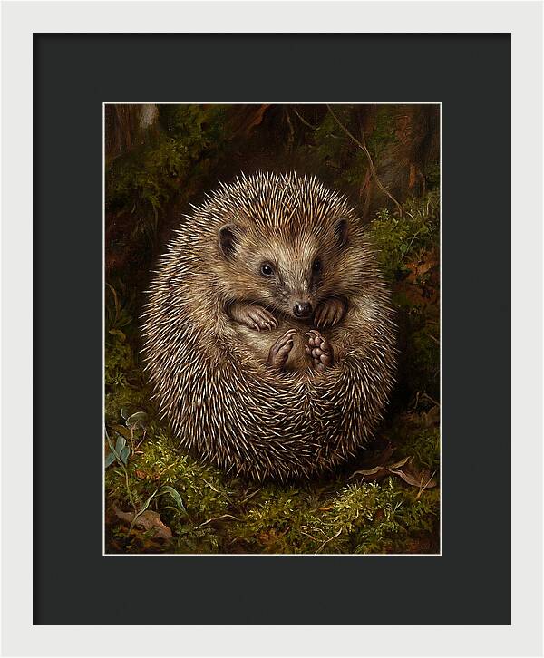 Tenrec In Natural Habitat
