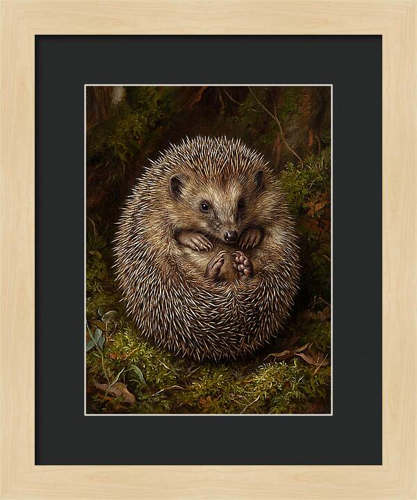 Tenrec In Natural Habitat
