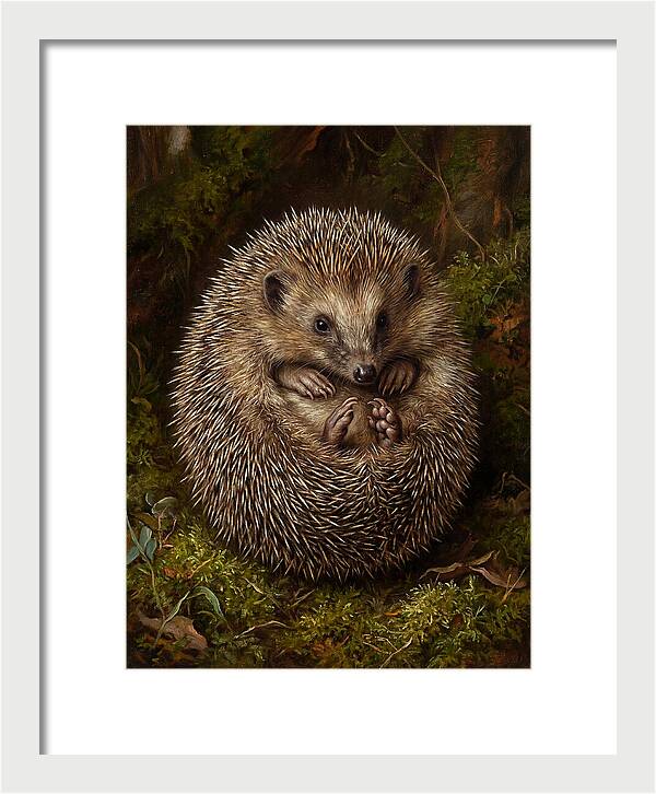 Tenrec In Natural Habitat