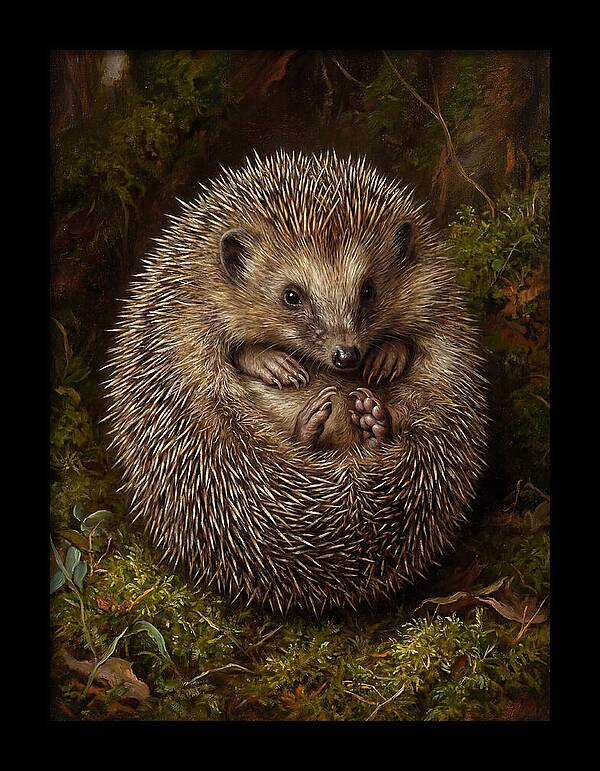 Tenrec In Natural Habitat