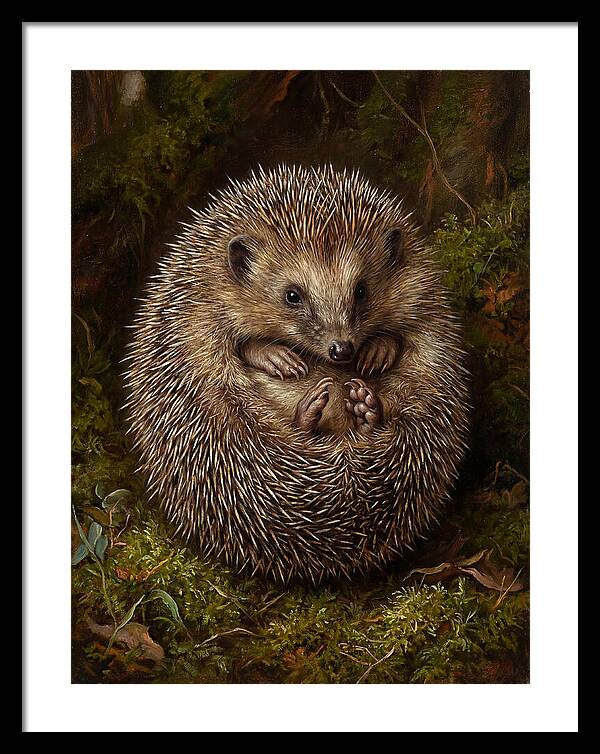 Tenrec In Natural Habitat
