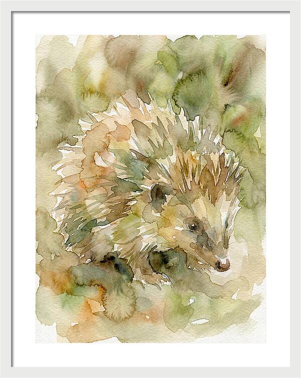 Tenrec In Watercolor Hues