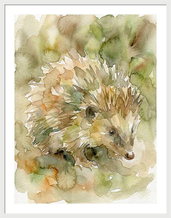 Tenrec In Watercolor Hues