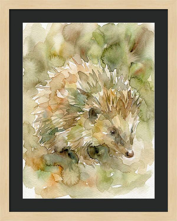 Tenrec In Watercolor Hues