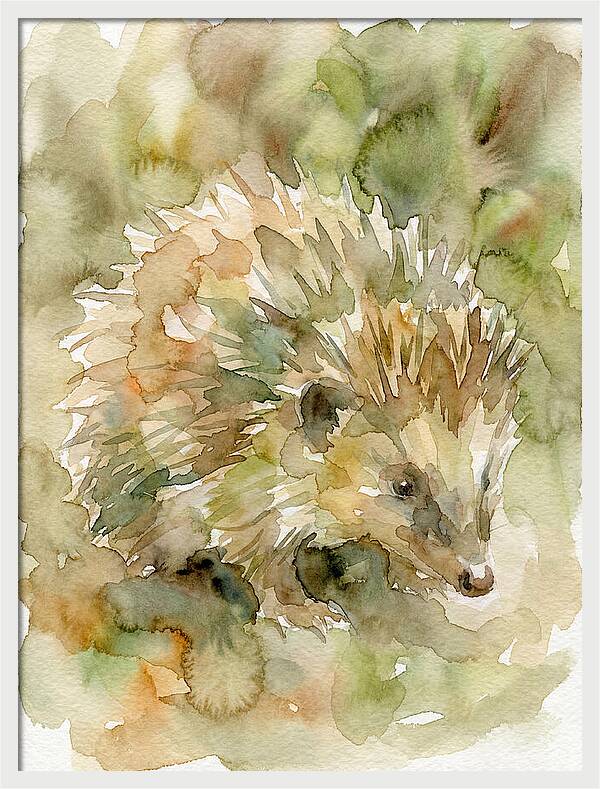 Tenrec In Watercolor Hues