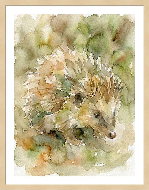 Tenrec In Watercolor Hues