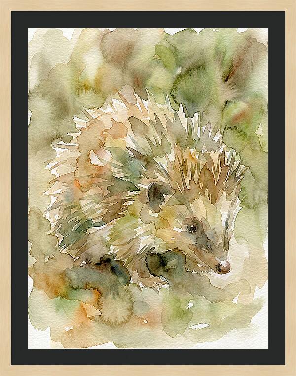 Tenrec In Watercolor Hues