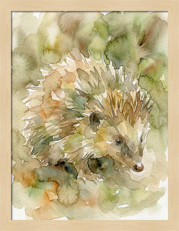 Tenrec In Watercolor Hues