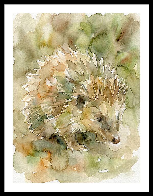 Tenrec In Watercolor Hues