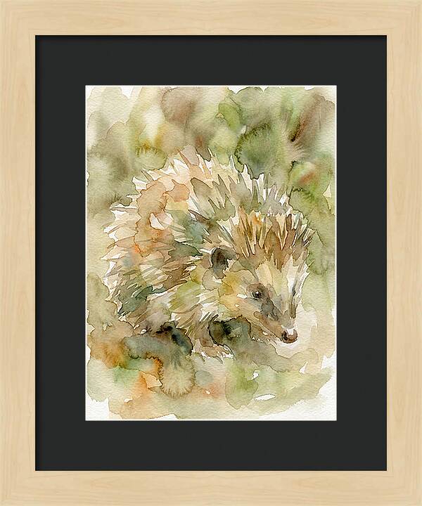 Tenrec In Watercolor Hues