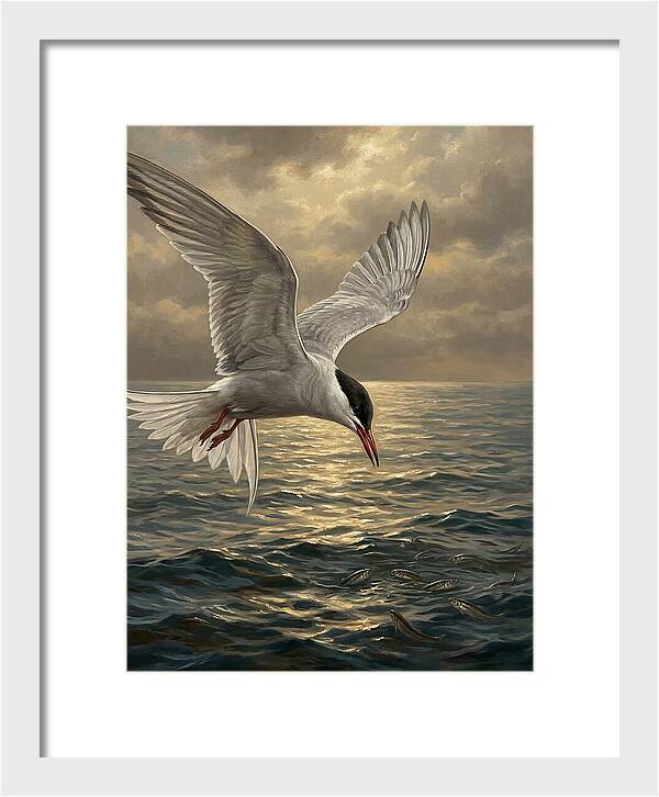 Tern Diving Into Water