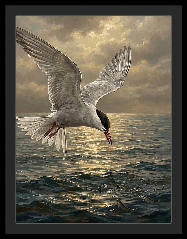 Tern Diving Into Water