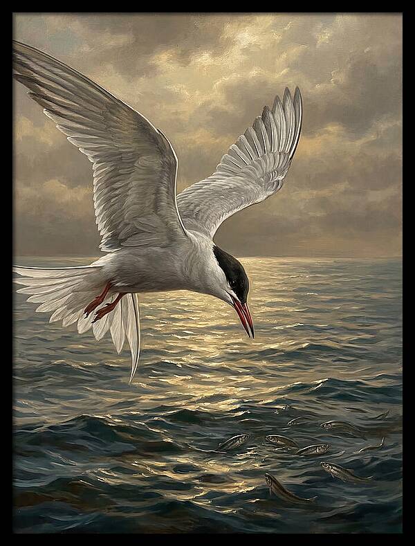 Tern Diving Into Water