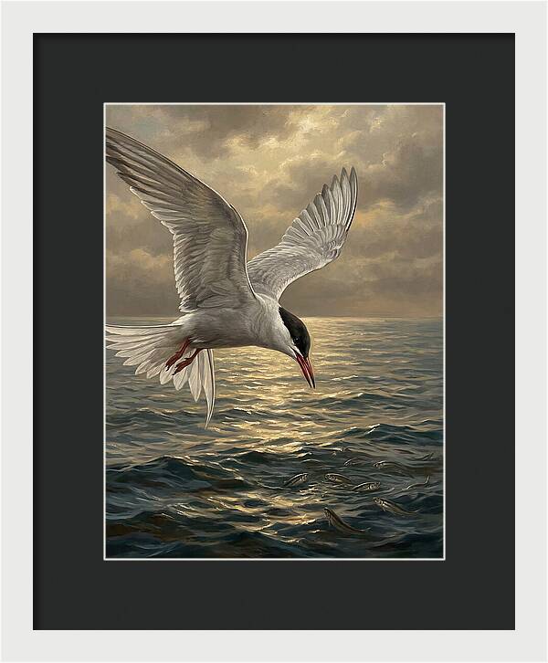 Tern Diving Into Water