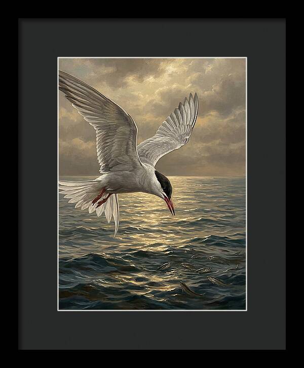 Tern Diving Into Water