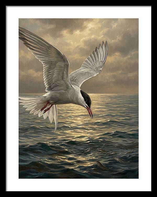Tern Diving Into Water