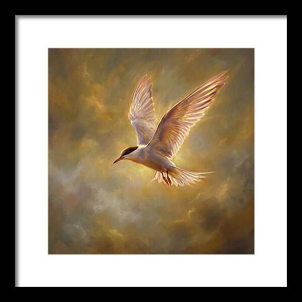 Tern In Flight