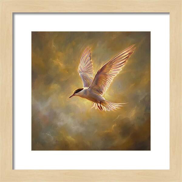 Tern In Flight