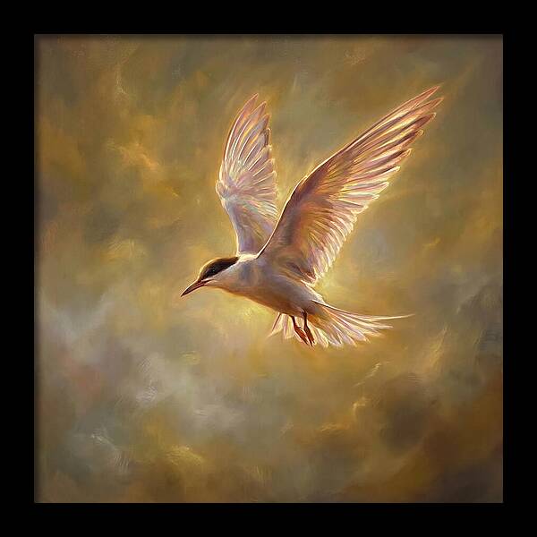 Tern In Flight