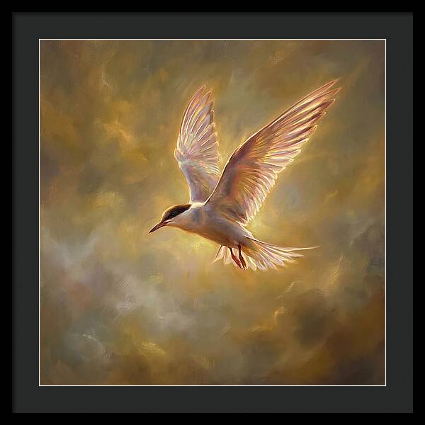 Tern In Flight