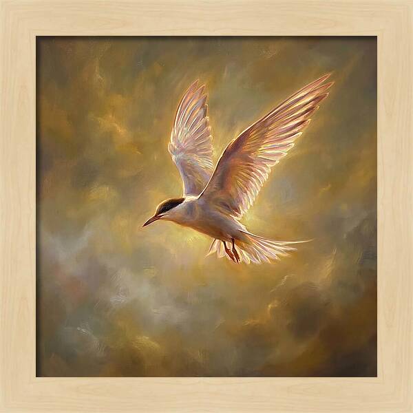 Tern In Flight