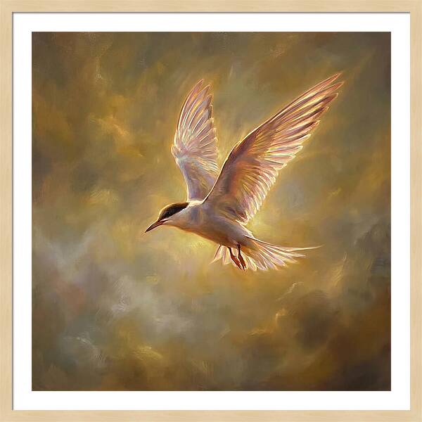 Tern In Flight