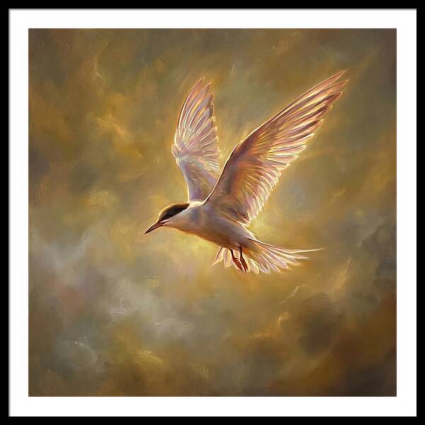 Tern In Flight