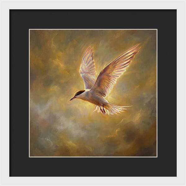 Tern In Flight