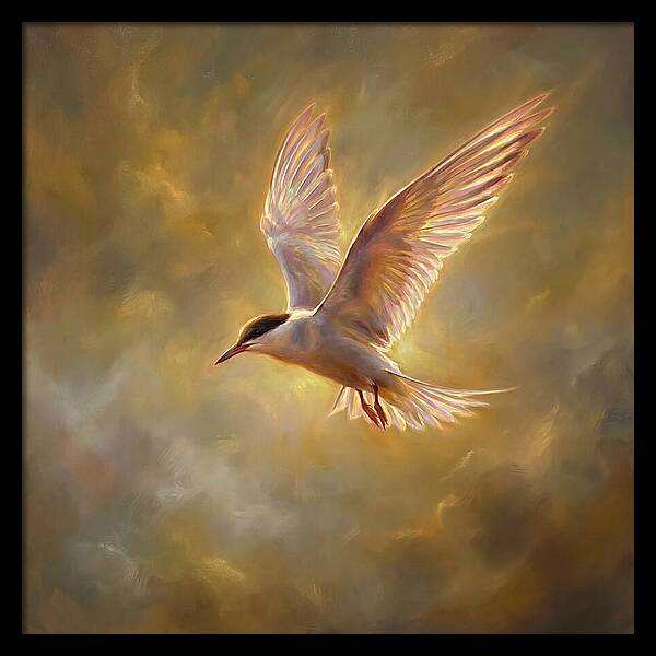 Tern In Flight