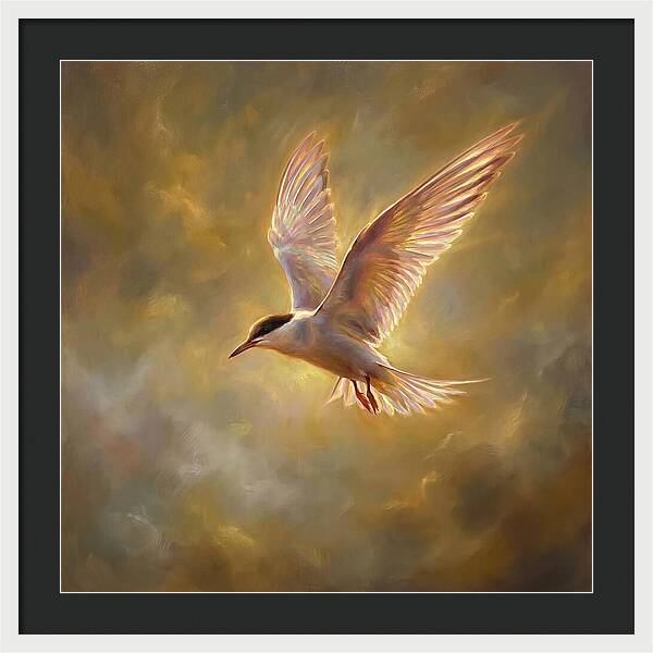 Tern In Flight