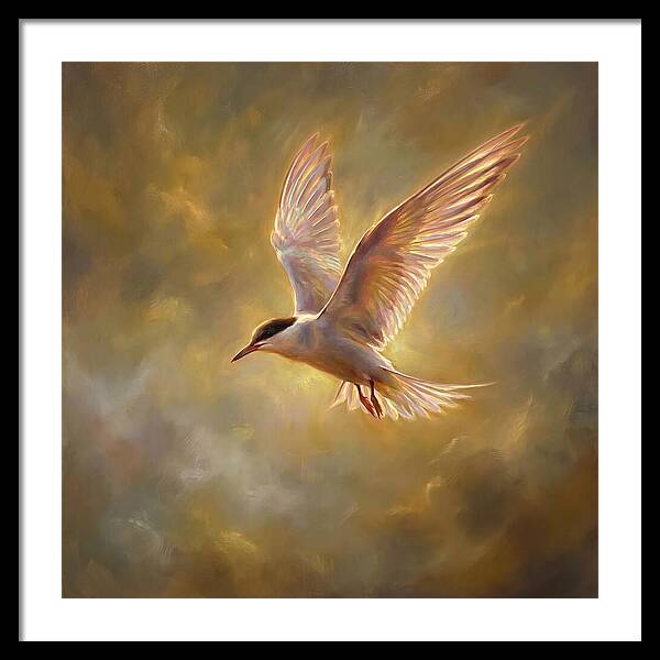 Tern In Flight