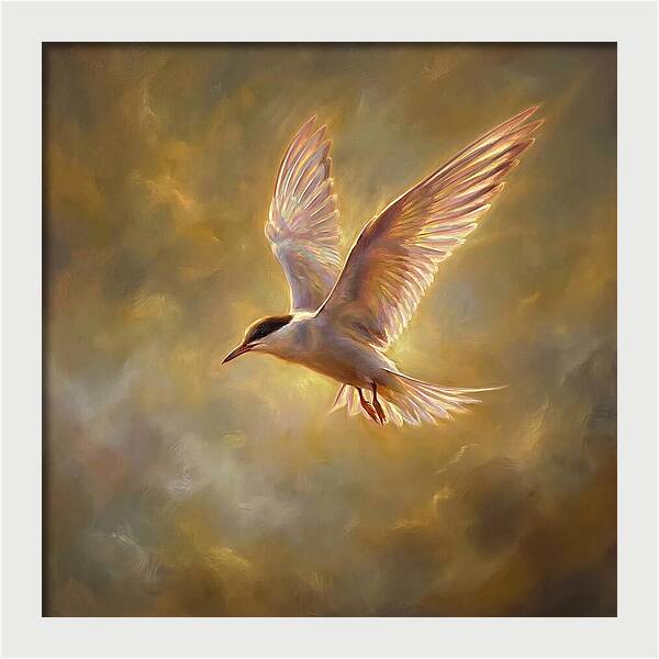 Tern In Flight