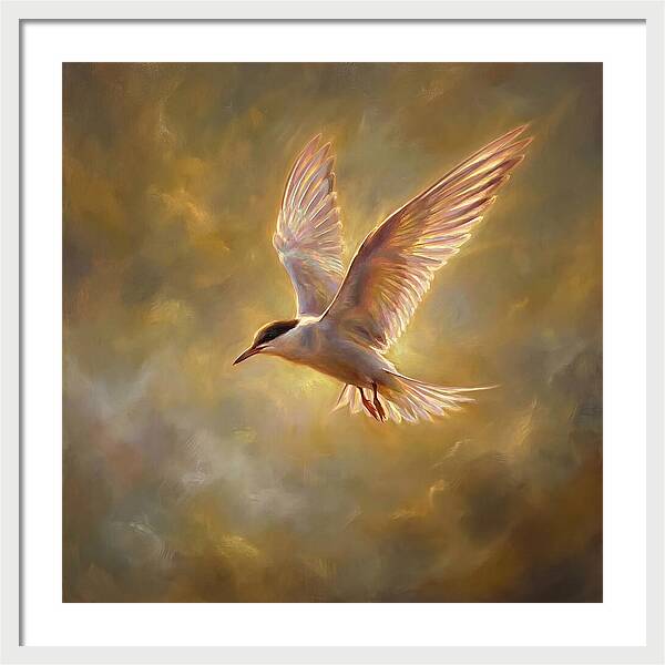 Tern In Flight