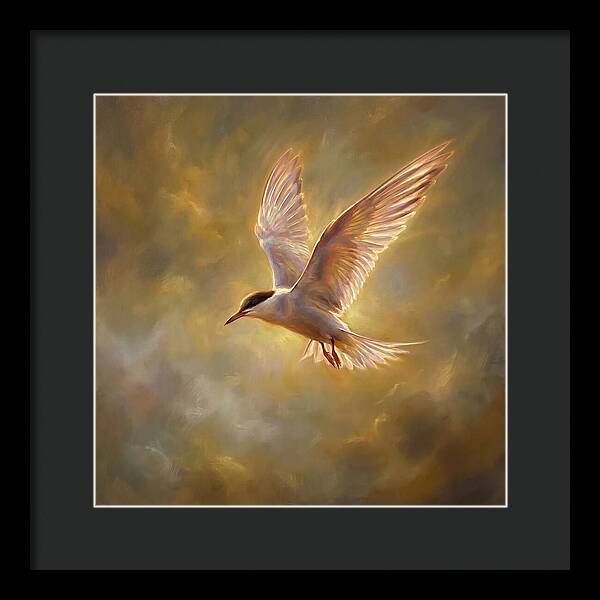 Tern In Flight