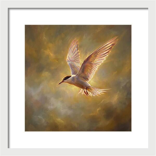 Tern In Flight
