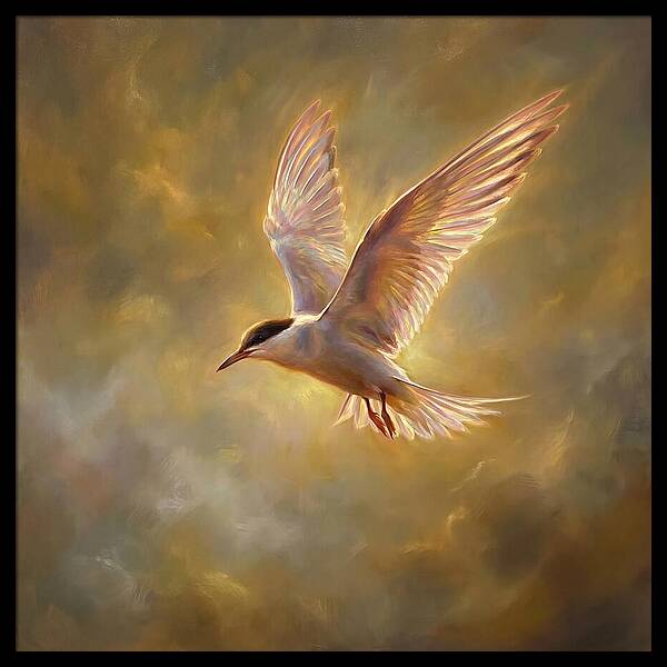 Tern In Flight