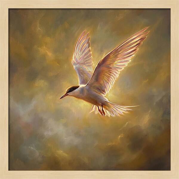 Tern In Flight