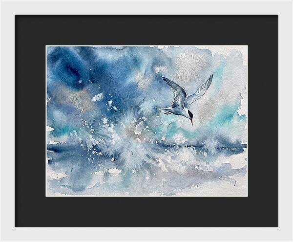 Tern In Flight Over Water