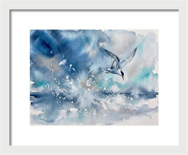 Tern In Flight Over Water