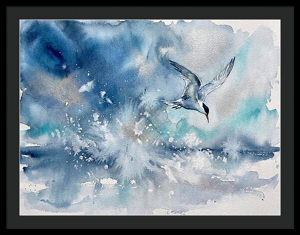 Tern In Flight Over Water