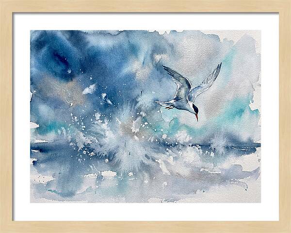Tern In Flight Over Water