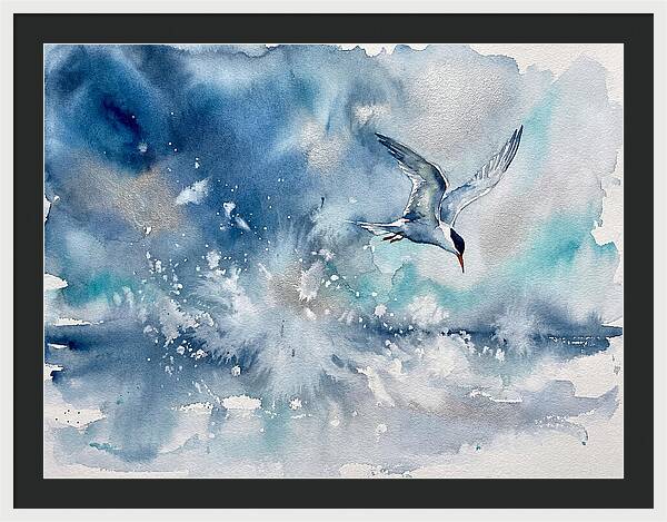 Tern In Flight Over Water
