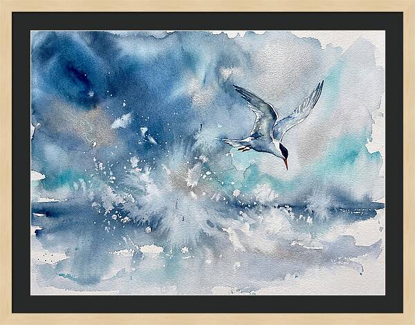 Tern In Flight Over Water