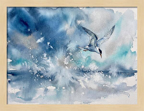 Tern In Flight Over Water