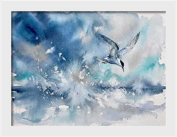 Tern In Flight Over Water